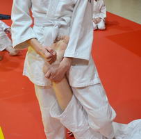  Aïkido arts orientaux de santé kwatsus
