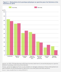  Aïkido motivations de la pratique physique ou sportive hommes femmes