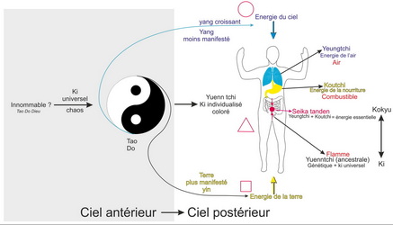 Ki, Tchi, prâna selon la profondeur les trajets et la fonction changent 