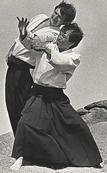   traité didactique d'aïkido traditionel Alain Peyrache 